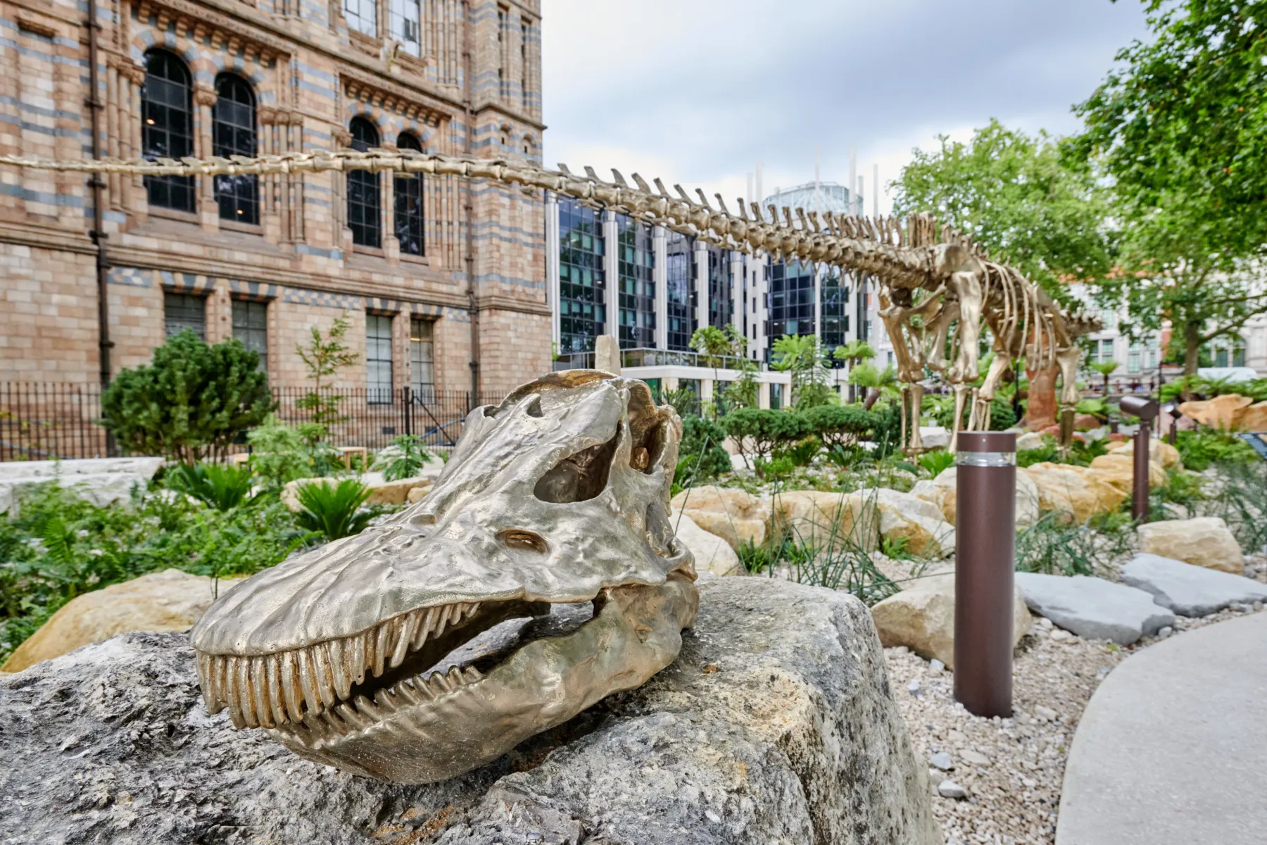 Fern and the Jurassic Garden