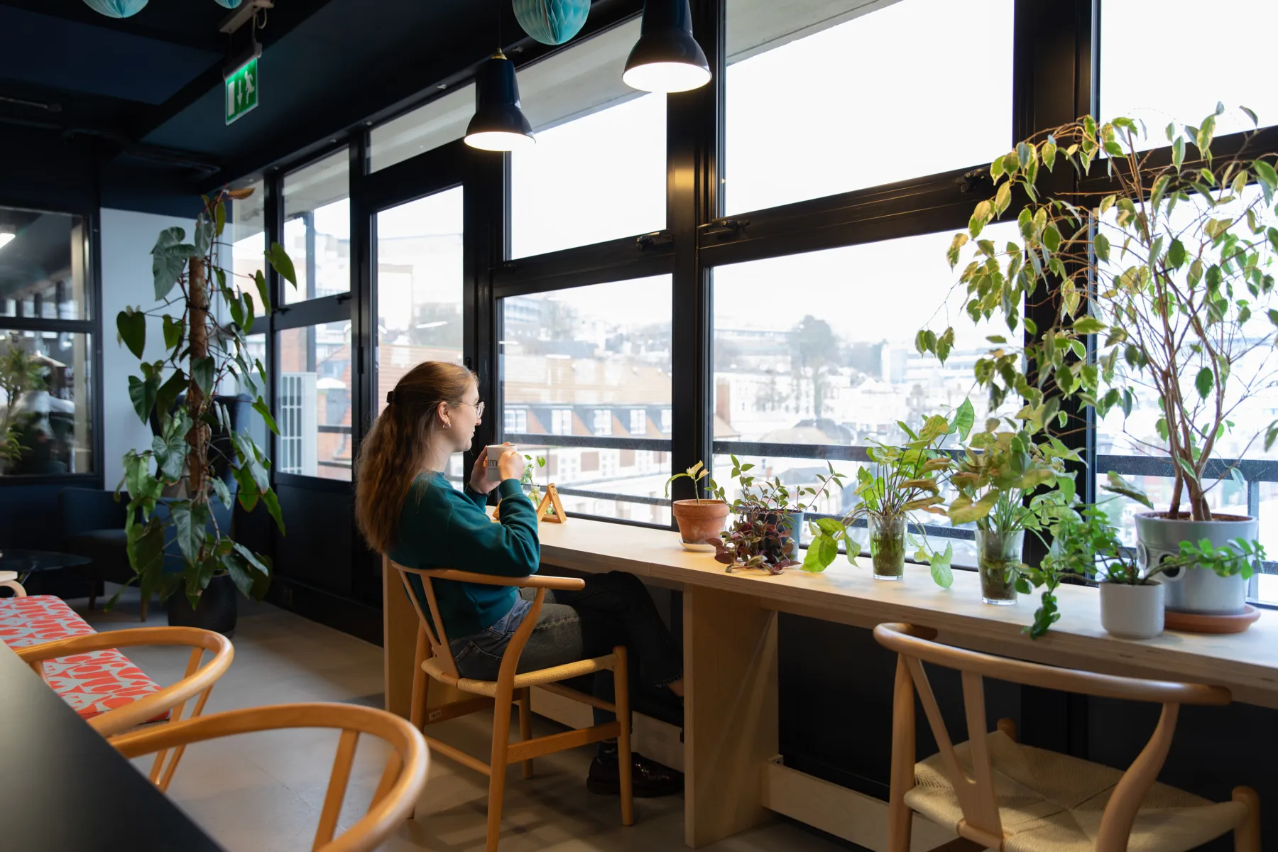 Person sitting at window bay looking out, with plants surrounding