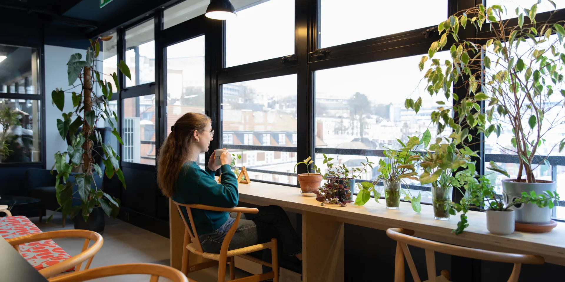 Person sitting at window bay looking out, with plants surrounding