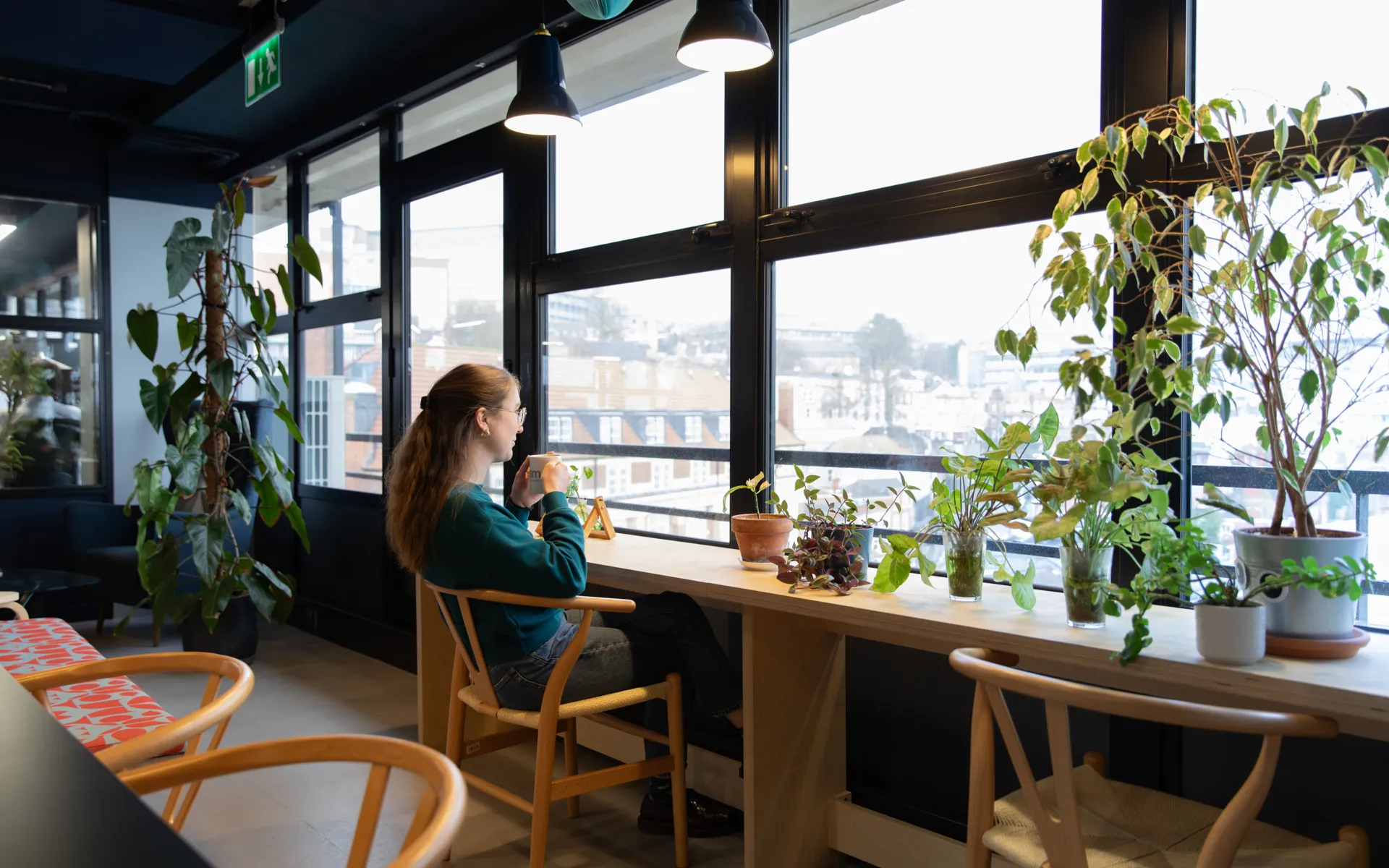 Person sitting at window bay looking out, with plants surrounding