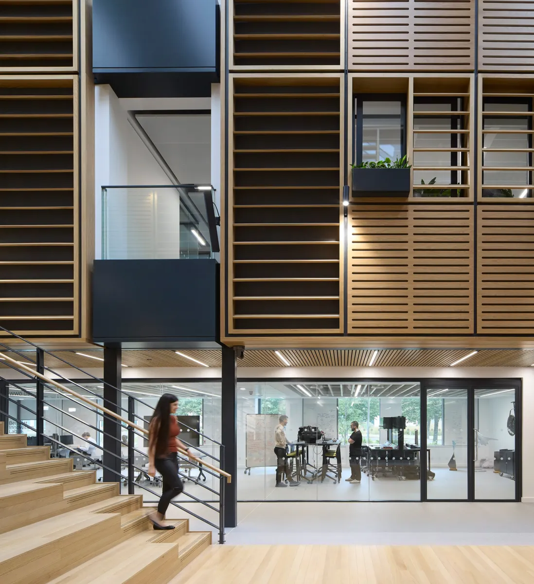 Interior view of the Bennett Innovation Lab showing a timber staircase, glazed meeting and laboratory spaces, and timber acoustic wall panels. A person descends the stairs while researchers work and meet in rooms beyond the glass partitions.