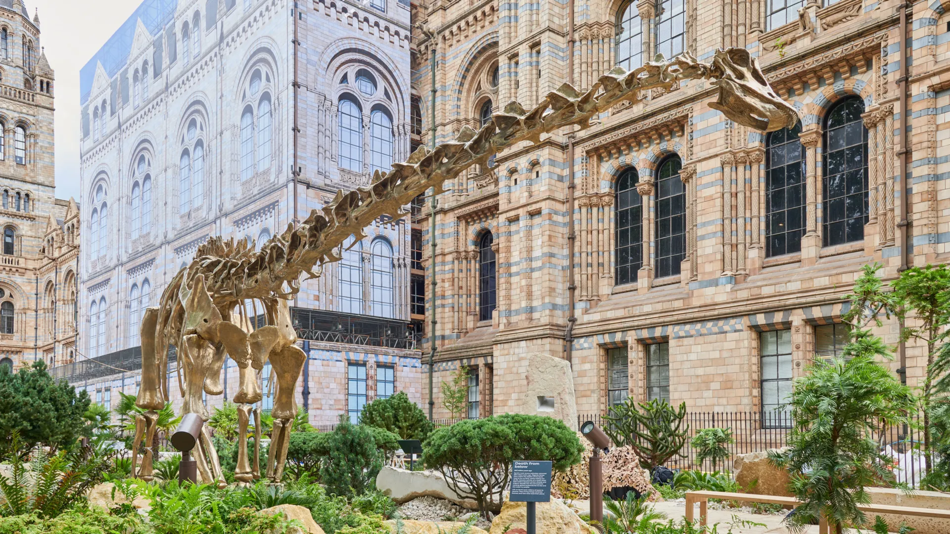 A large bronze cast of a diplodocus in the gardens outside of the Natural History Museum