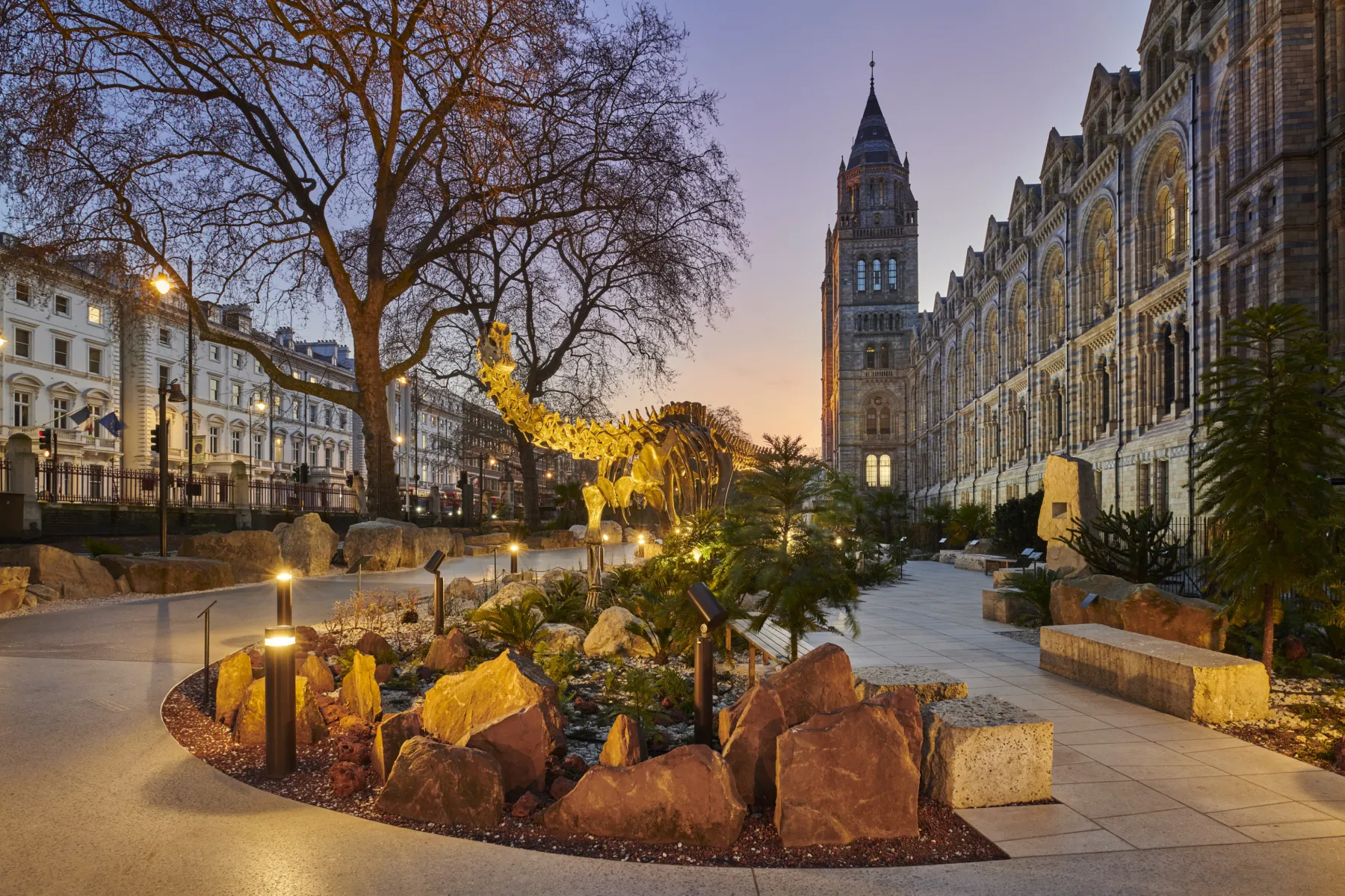 Photo of the Natural History Museum's newly landscaped gardens and Urban Nature Project at dusk, showing a Diplodocus skeleton dramatically lit.