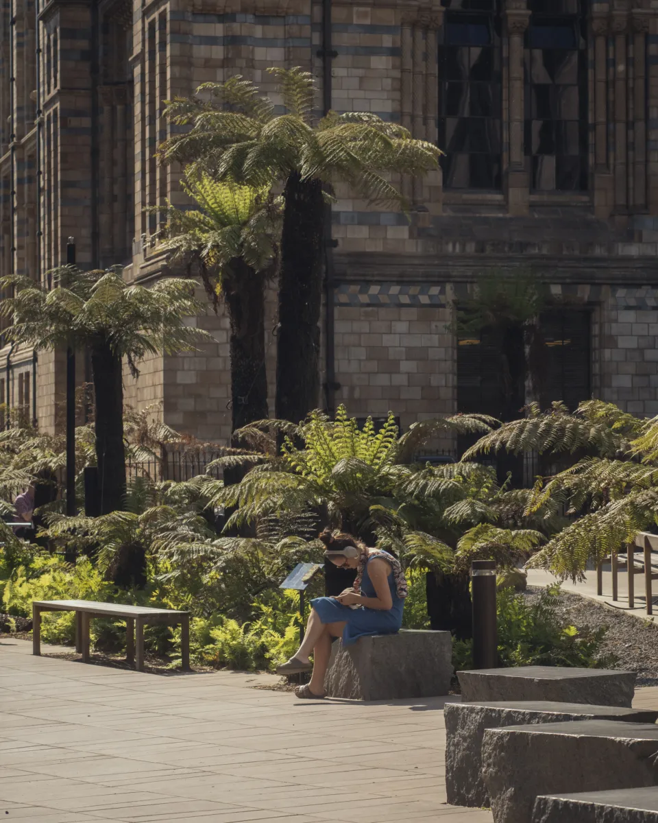 Palm trees and seating on a sunny day, outside the front of the museum.