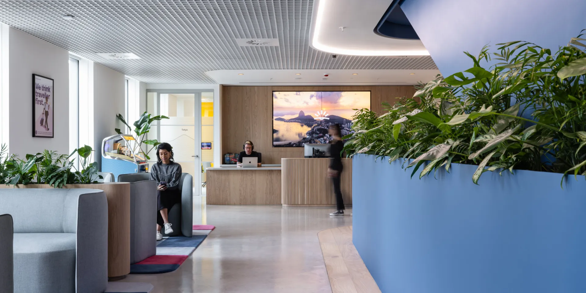 Interior of contemporary office with blue walls and green plants