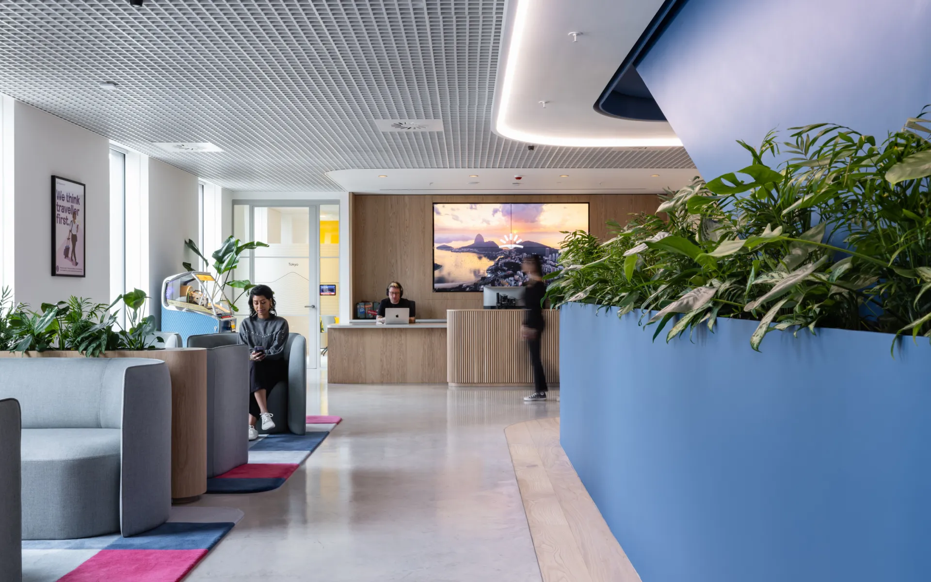 Interior of contemporary office with blue walls and green plants