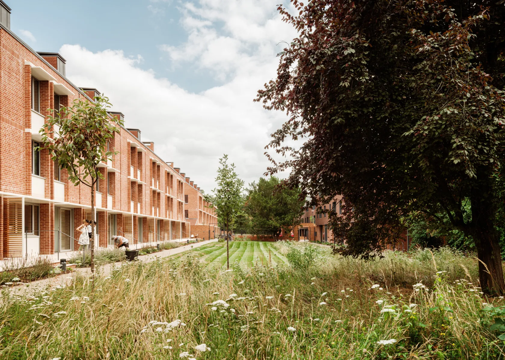 Landscaped communal garden with meadow planting and young trees, running alongside a row of red brick residential terraces with balconies and ground-floor entrances. The scene is framed by mature trees, with residents visible using the outdoor space.
