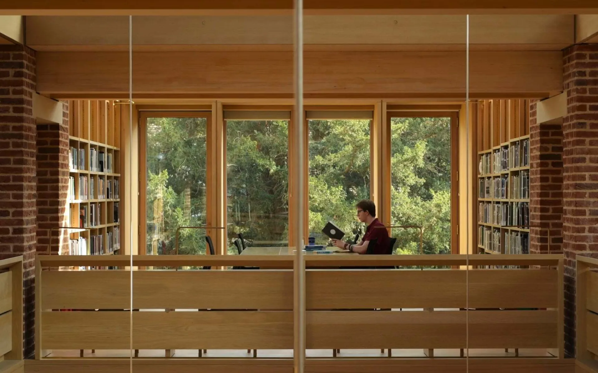 Person sitting in library reading